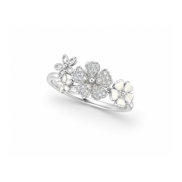 Galaxy Ring