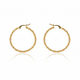 Summer Solstice Earrings