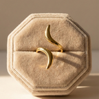 Swan flow ring - 18k Gold (Demi Fine)